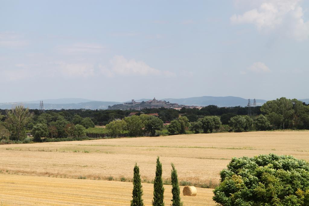 Agriturismo Verbena Castiglione del Lago Eksteriør billede
