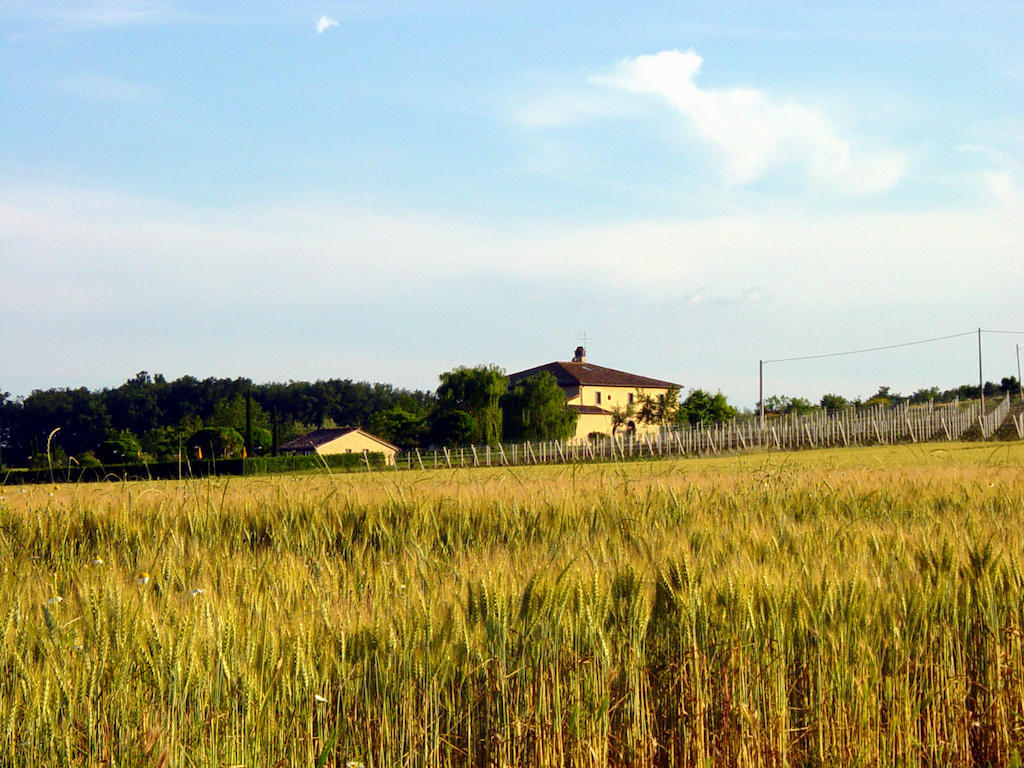 Agriturismo Verbena Castiglione del Lago Eksteriør billede